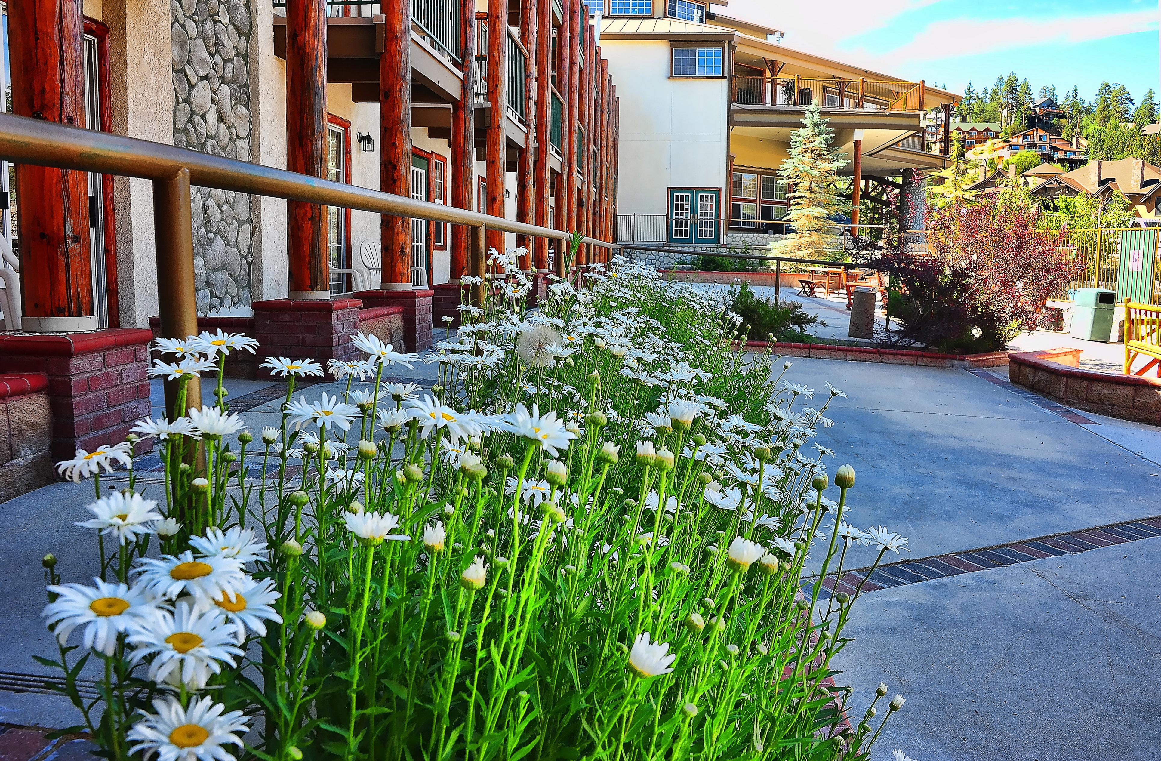 Holiday Inn Resort The Lodge At Big Bear Lake By Ihg Bagian luar foto